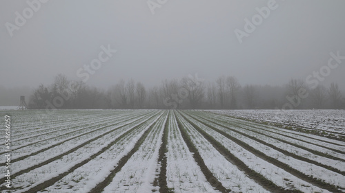 Field covered with snow in winter