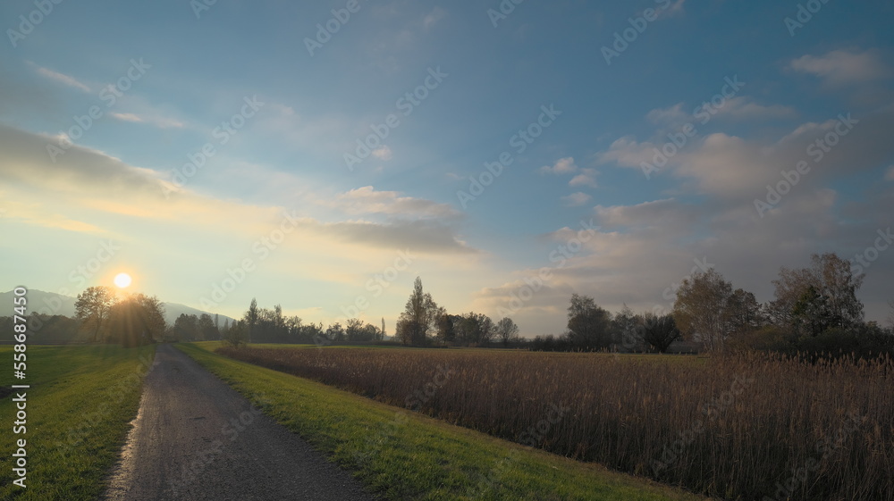 Walk in the sunset at corn field Walk in the sunset at corn field