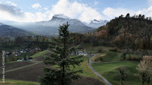 Path that leads down from the ruin castle Wartau with fir in front photo