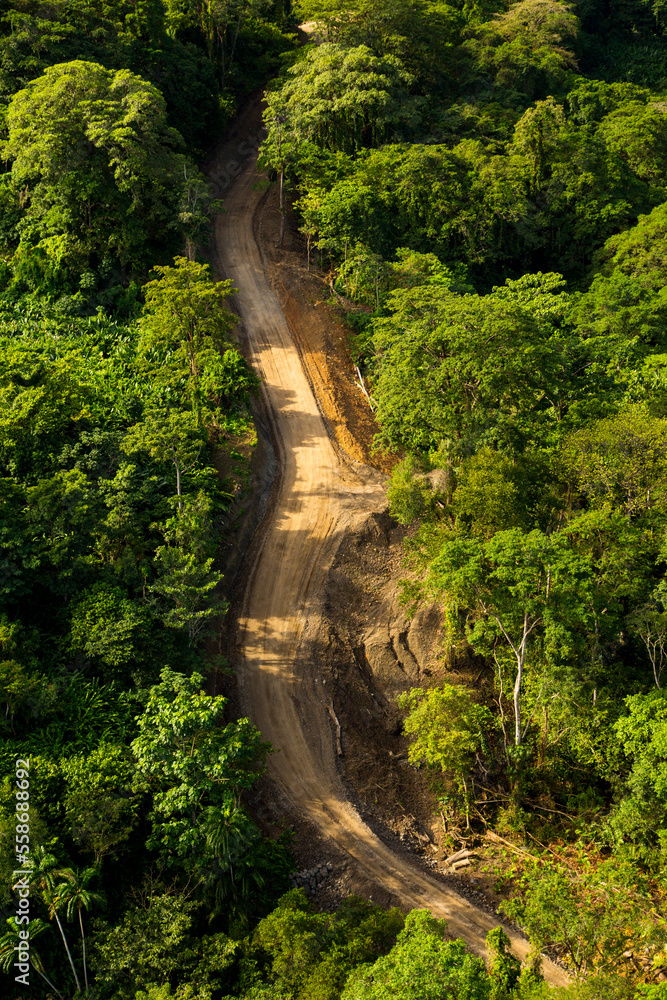 street construction in the jungle of Panama street construction in the jungle of Panama