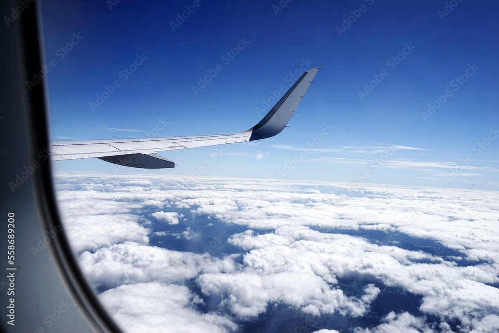 Flugzeugflügel. Flugzeugflügel.
