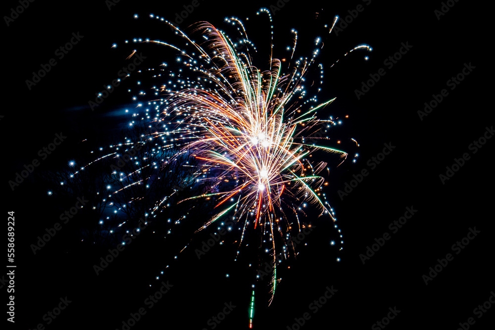 Obraz premium fireworks in the night sky