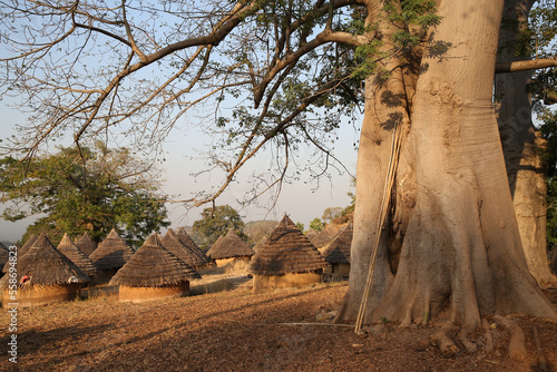 Big baobab tree and Bedik village in Kedougou, Senegal, Africa. Senegalese nature, African landscape, scenery. Tribal houses, home. Village of Bedik tribe. Rural life in Kedougou, Senegal, Africa