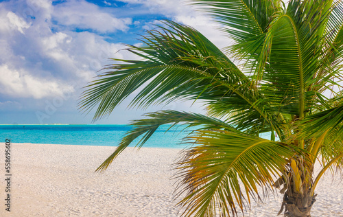 Idyllic Beach with Palm Treesat the Maldives  Indian Ocean