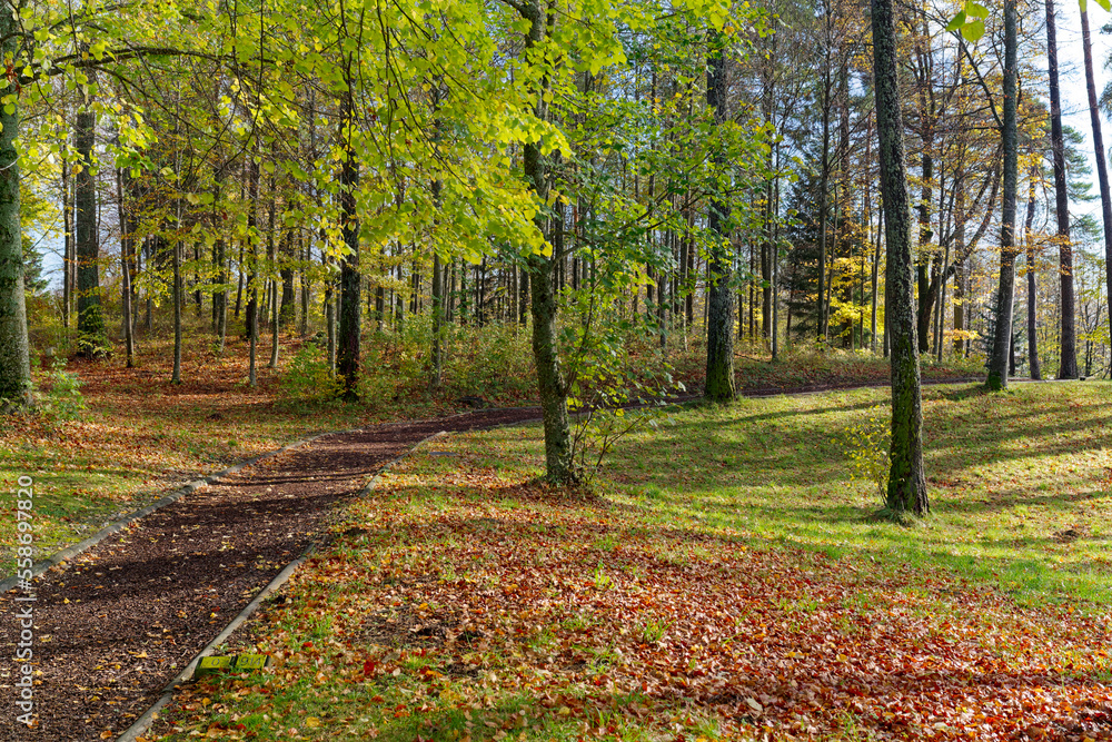 Wooden chips jogging trail with park at village Magglingen on a sunny autumn day. Photo taken November 10th, 2022, Magglingen Macolin, Switzerland.