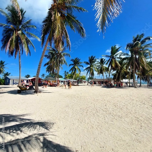 beach with palm trees © Valentina