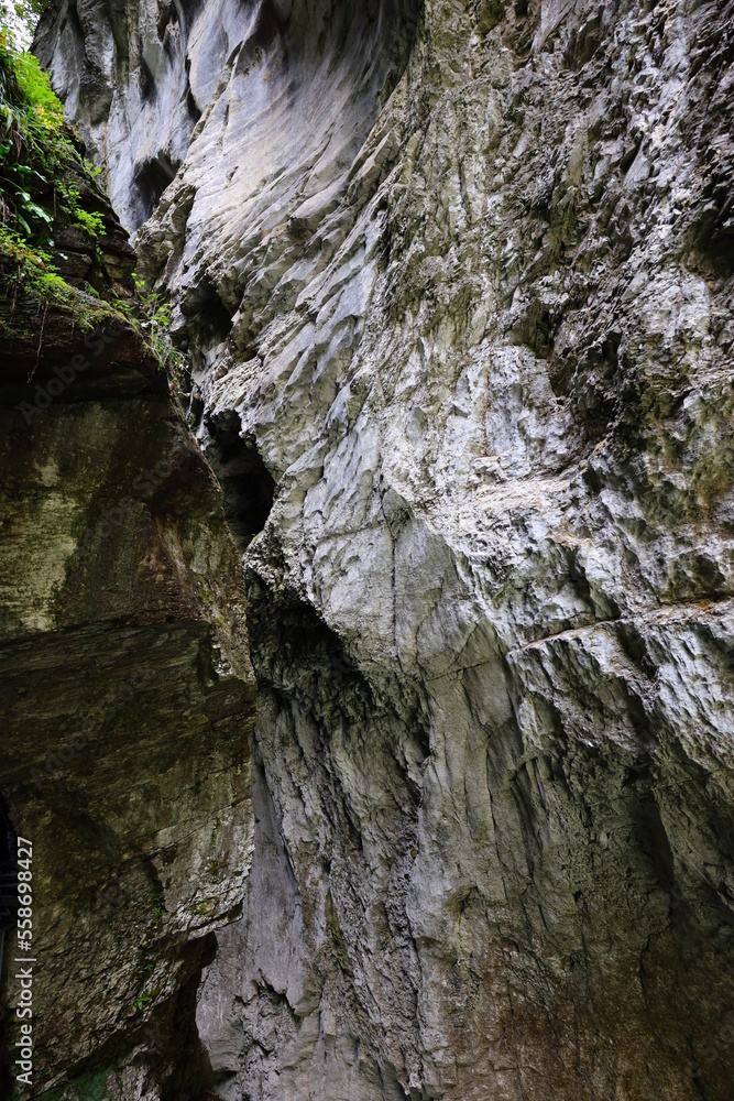 The Aare Gorge is a section of the river Aare that carves through a limestone ridge near the town of Meiringen, in the Bernese Oberland region of Switzerland