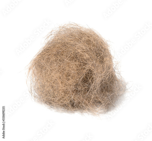 A tuft of gray cat hair on a white isolated background photo