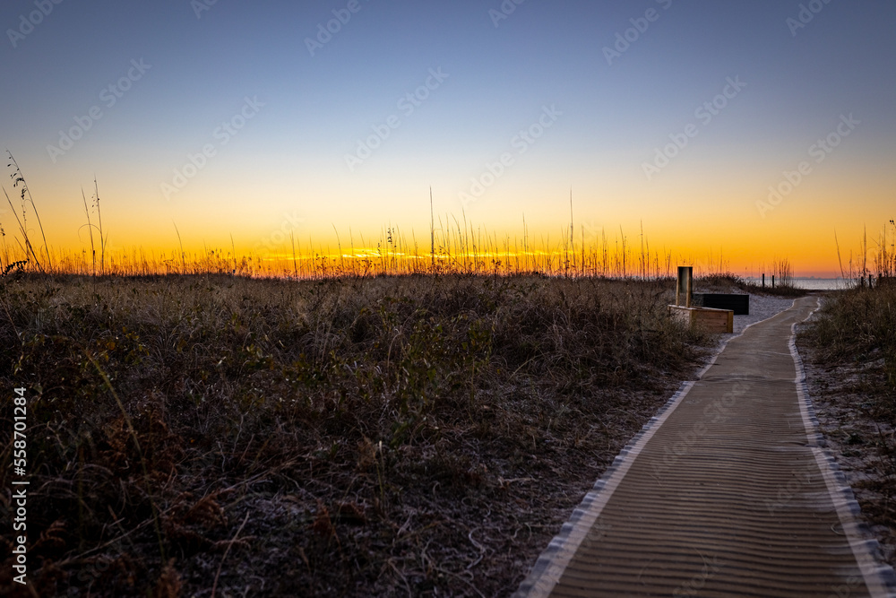 Covered with a carpet pathway to the beach leading to sunrise on the shoreline in Hilton Head Island, South Carolina
