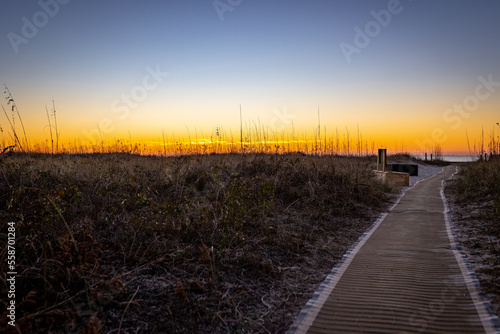 Covered with a carpet pathway to the beach leading to sunrise on the shoreline in Hilton Head Island  South Carolina