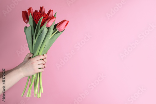 Hand holding a bouquet of red tulips on a pink background, space to copy © Сергей Стельченко