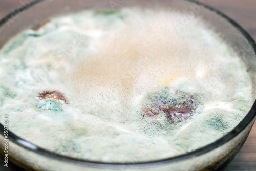 Mold on jam in a glass plate. Moldy food in the plate