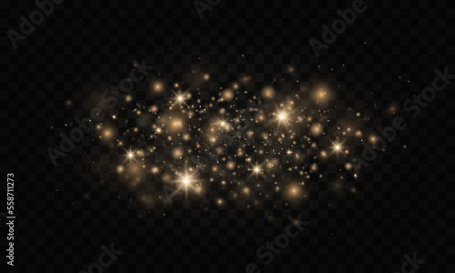 Luminous magic dust particles. Christmas concept. The dust sparks and golden stars shine with special light on a black transparent background.