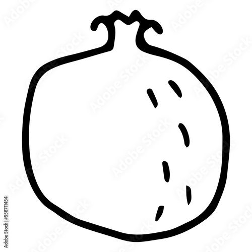 pomegranate fruit doodle style vector illustration isolated on white