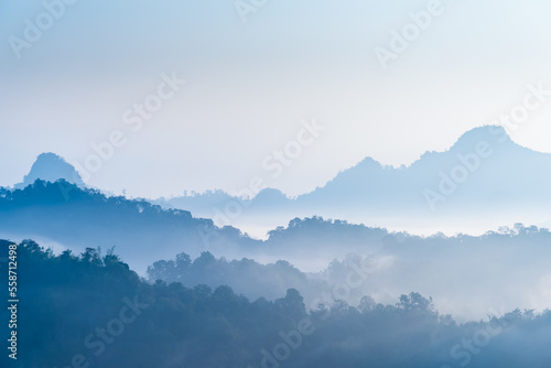 Fototapeta Naklejka Na Ścianę i Meble -  Mountains and forest in fog, mountain range with morning sky landscape.