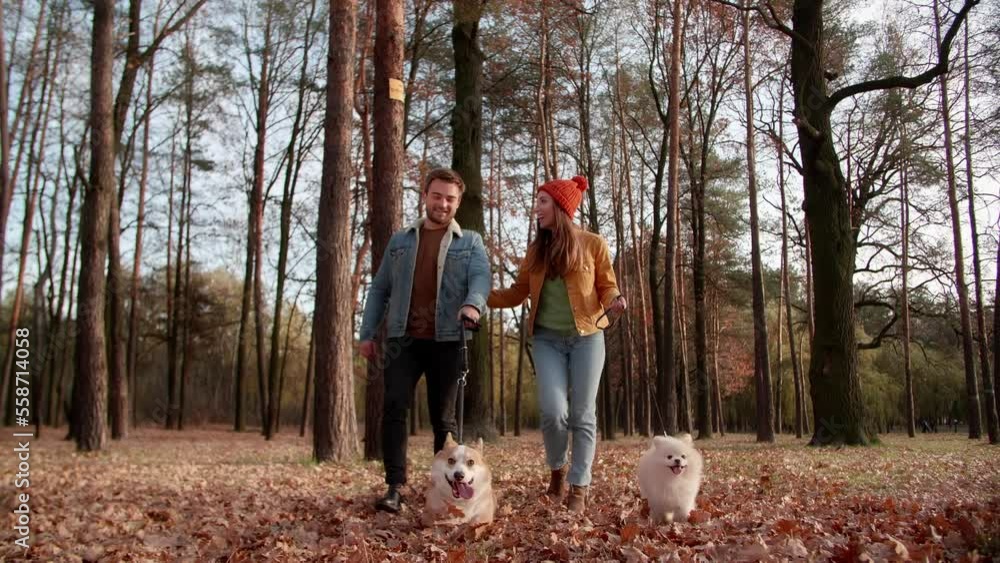Caucasian man and woman enjoying autumn park while strolling on weekend. Lovely couple enjoying autumn leaves while walking their cute dogs. High quality FullHD footage Caucasian man and woman enjoying autumn park while strolling on weekend. Lovely couple enjoying autumn leaves while walking their cute dogs. High quality FullHD footage