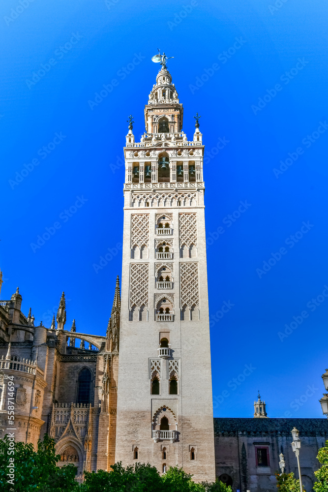 Fototapeta premium La Giralda - Seville, Spain