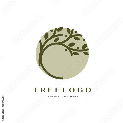 windswept style bonsai tree illustration in vector format on a white background