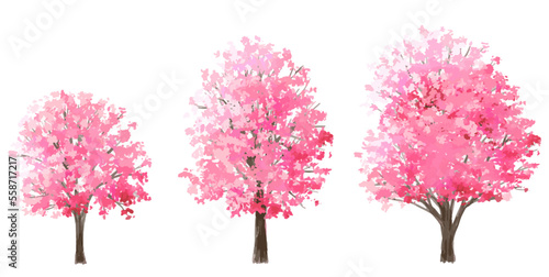 Vector watercolor of tree side view isolated on white background for landscape and architecture drawing  elements for environment and garden  painting botanical for section in spring
