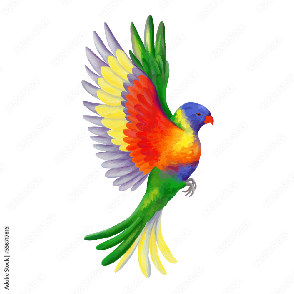Flying rainbow vector lorikeet. Colorful vivid parrot. Tropical jungle bird. Realistic illustration isolated on white.
