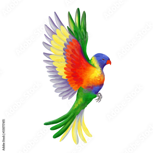 Flying rainbow vector lorikeet. Colorful vivid parrot. Tropical jungle bird. Realistic illustration isolated on white. © Taity