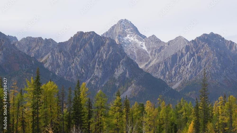 Rocky mountain landscape view with the trees growing on the side on a sunny day. Rock hills in a rural countryside with forest bellow. Rocky mountain landscape view with the trees growing on the side on a sunny day. Rock hills in a rural countryside with forest bellow.