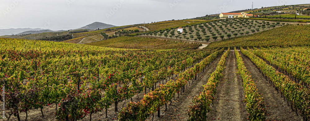 quinta by douro valley