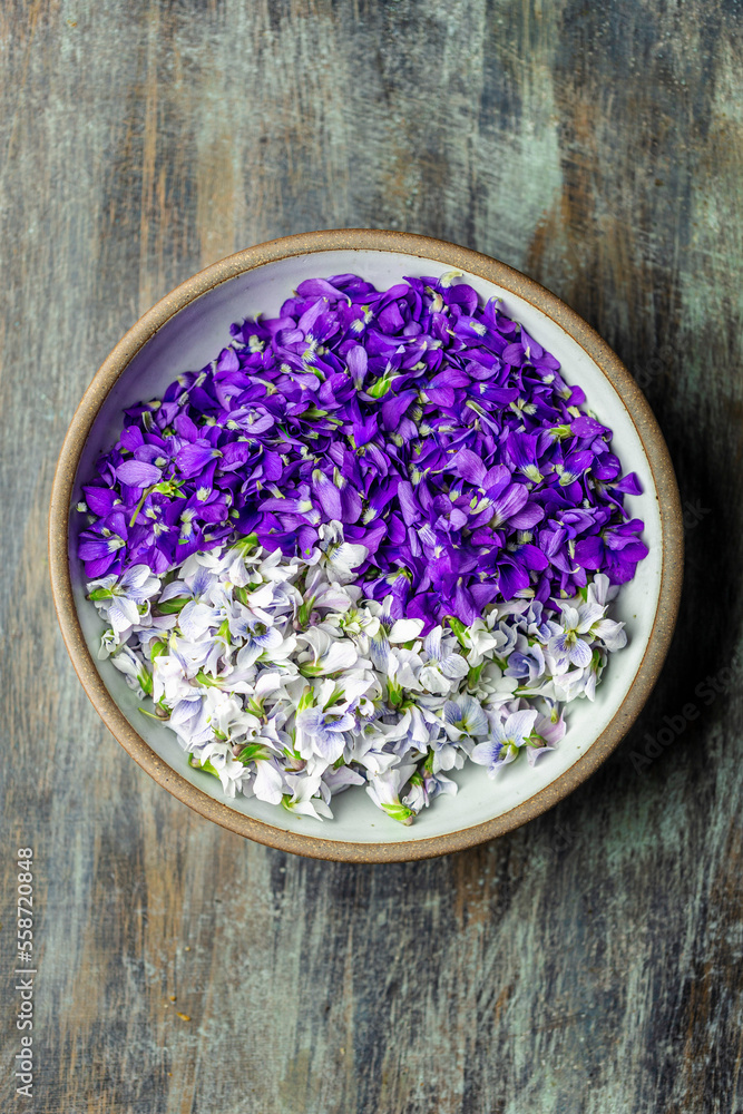Violets, purple amd white in Bowl Violets, purple amd white in Bowl
