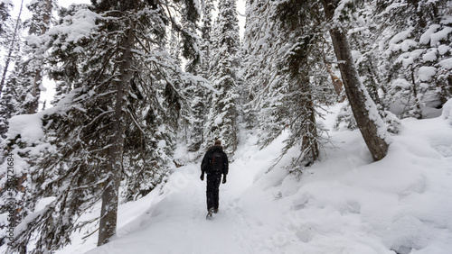 Hiker in Baff National Park, Hiking in Snowy Forest