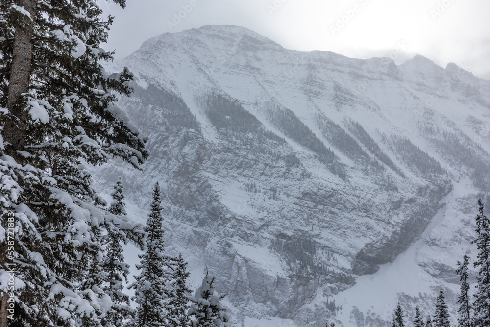 Obraz premium Snowy Mountain Peaks in Banff, Alberta
