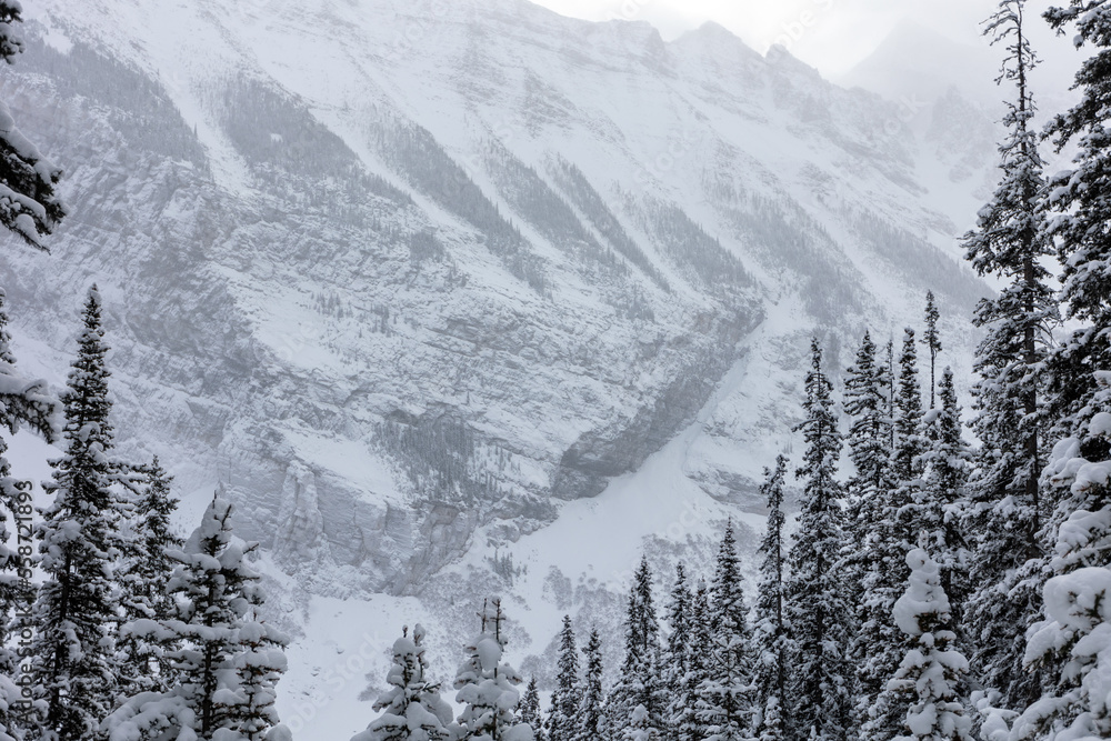 Winter Snowy Landscape in Banff, Alberta Canada 2023