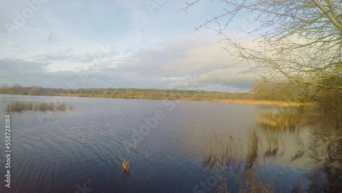 Video of  wetlands on the Somerset Levels on a winter afternoon photo
