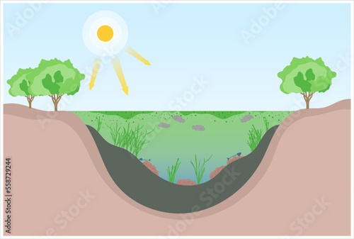 excess waste plant productivity classification of degradation water quality algae life salt system oxygen depletion marine