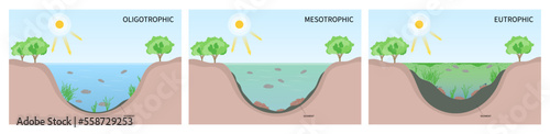 waste plant productivity classification of degradation water quality algae life salt system excess oxygen depletion marine photo