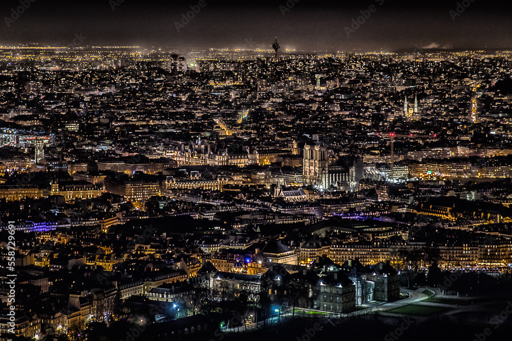 Notre Dame de Paris bei Nacht.