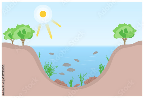 classification of degradation water quality algae productivity life salt system excess waste plant oxygen depletion marine