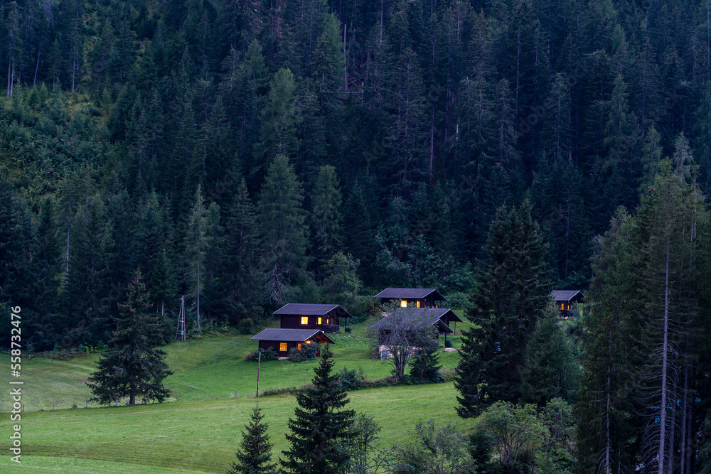 View of houses, green fields and forest in mountain village in Alps at night, Austria, travel and nature concept View of houses, green fields and forest in mountain village in Alps at night, Austria, travel and nature concept
