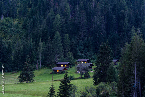 View of houses, green fields and forest in mountain village in Alps at night, Austria, travel and nature concept