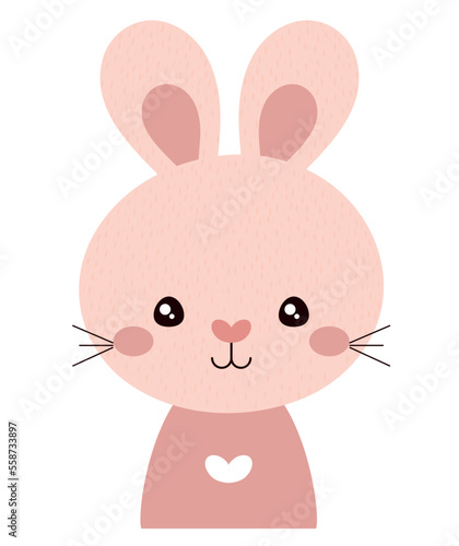cute rabbit design