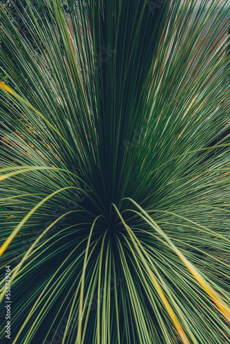 Natural green leaves background. Beautiful green pattern