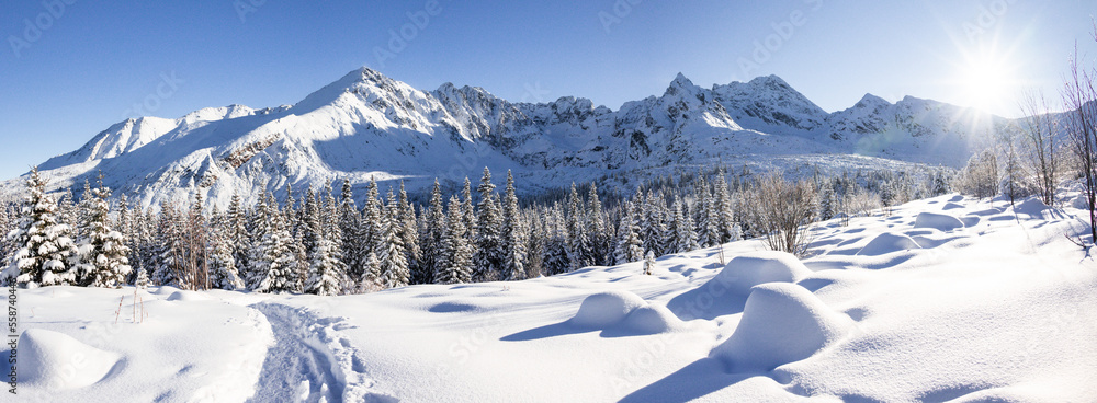 Widok na Halę Gąsienicową, Tatry Polskie