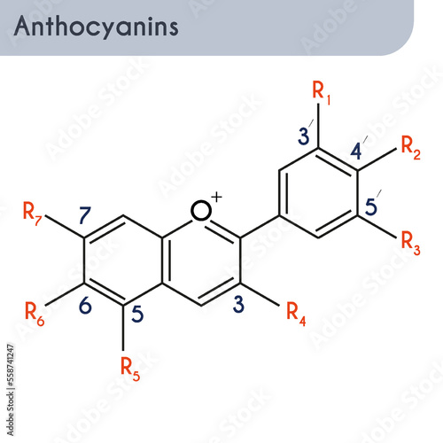 Anthocyanin molecular skeletal chemical formula.