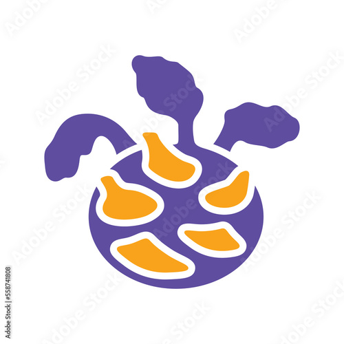 Kohlrabi or German Turnip isolated vector icon