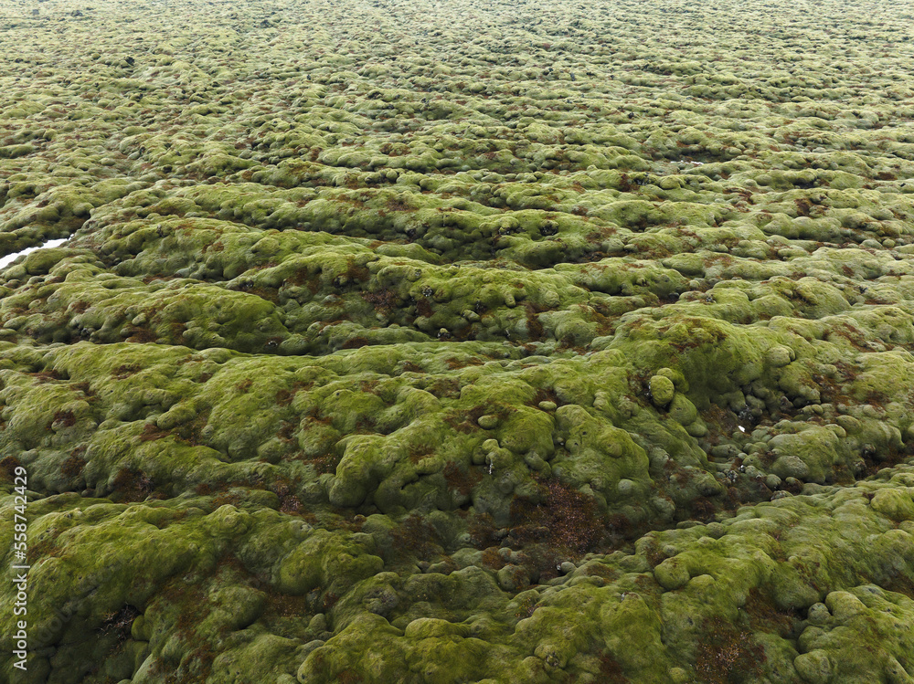 Aerial view of Skorur lava fields, near Eldhraun in south Iceland. Aerial view of Skorur lava fields, near Eldhraun in south Iceland.