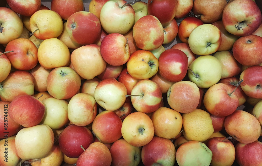 Apple background. Natural farm eco friendly apples top view. Apple background. Natural farm eco friendly apples top view.