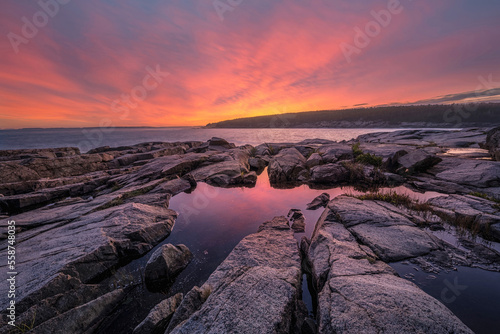 Vibrant colors reflecting in a tide pool near Otter Point in Acadia National Park