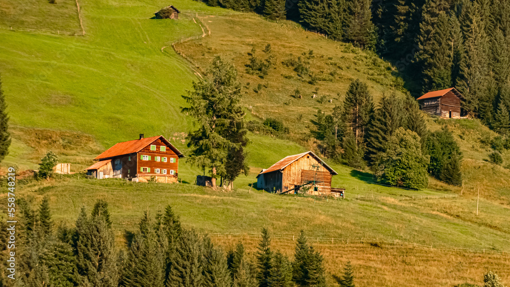 Beautiful alpine summer view at the famous Kleinwalsertal valley, Hirschegg, Vorarlberg, Austria Beautiful alpine summer view at the famous Kleinwalsertal valley, Hirschegg, Vorarlberg, Austria