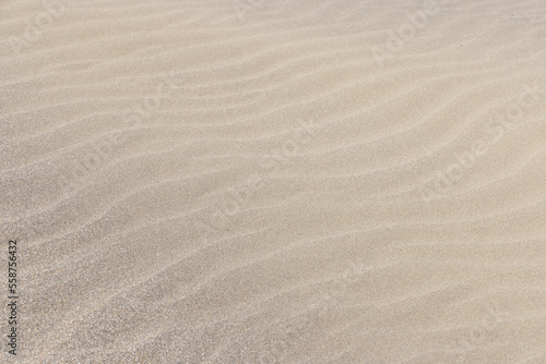 Sea sand beach pattern texture