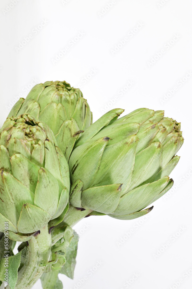 Obraz premium artichokes on a white background