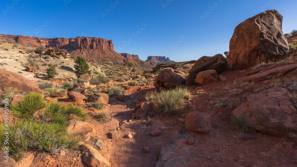 Obraz premium hiking the murphy trail loop in the island in the sky in canyonlands national park, usa